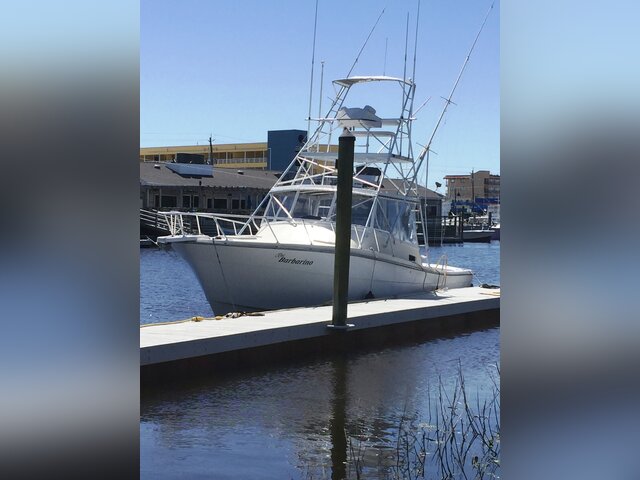 Listing image 1062910