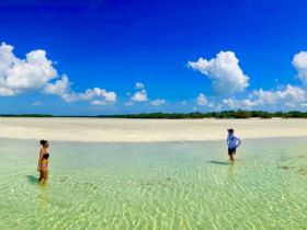 A couple enjoys a serene moment wading in the clear waters of a beautiful sandbar, surrounded by stunning blue skies and lush greenery — an ideal setting for a tropical getaway.