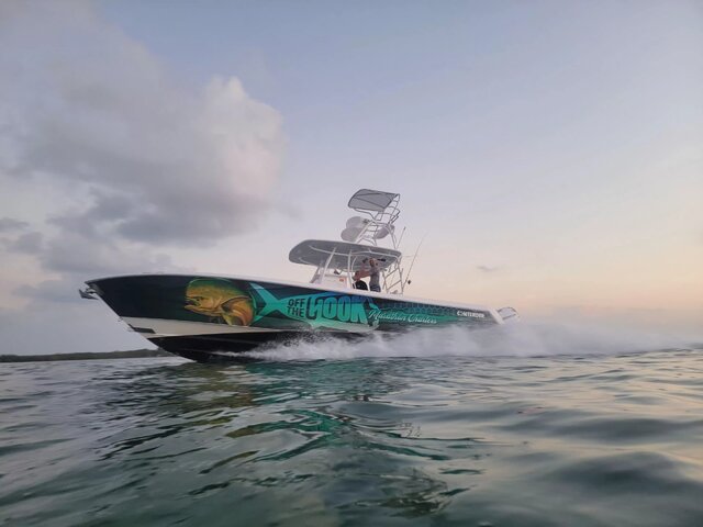 Listing image 1067078