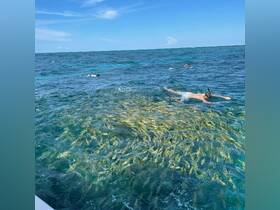 A snorkeler explores vibrant underwater life in clear blue waters, showcasing the beauty of marine adventures. Perfect for ocean enthusiasts and adventure seekers.