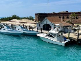 A scenic view of multiple boats docked at a marina, showcasing a vibrant turquoise sea and a historic backdrop, perfect for boating enthusiasts and travelers.