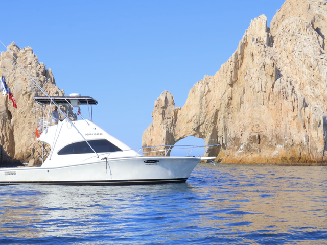 Listing image 1117585