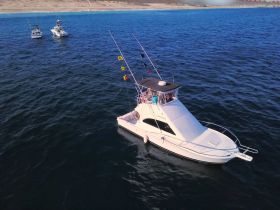 Aerial view of a sleek yacht cruising through open waters, showcasing its elegant design and fishing flags — perfect for a day out on the sea.