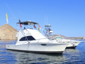 A pair of fishing boats docked in calm waters, showcasing their sleek designs and vibrant flags against a clear blue sky.