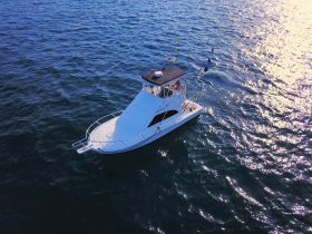 Aerial view of a sleek yacht cruising through shimmering waters, showcasing its elegant design and perfect for luxury outings.