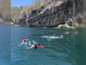 A group of snorkelers enjoys a sunny day in the ocean, showcasing the vibrant underwater experience near a rocky coastline.