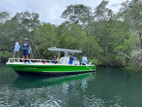 A group of individuals aboard the 'Eagle Ray' boat navigating through lush mangroves, showcasing a perfect day for exploration and adventure on the water.