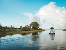 A group of friends enjoys a fishing trip on a scenic waterway, showcasing the beauty of nature and camaraderie on the water.