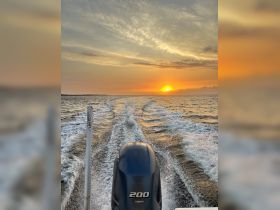 A stunning sunset view from the back of a boat, showcasing the engine and wake as it cruises through tranquil waters — perfect for evening outings.