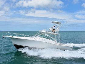 A sleek speedboat cuts through the waves, showcasing its impressive design and performance on the water.