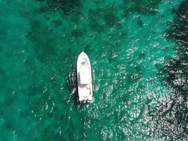 Listing image 1063487