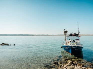 Nefali Fishing & Cruise