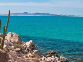 A stunning view of turquoise waters and rugged coastline, perfect for showcasing the natural beauty of the area and ideal for boat trips or eco tours.