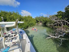 A group enjoys a refreshing swim in the clear waters of a mangrove area, showcasing the beauty of nature and the fun of outdoor adventures.