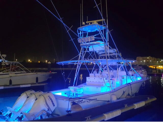 Listing image 1066589
