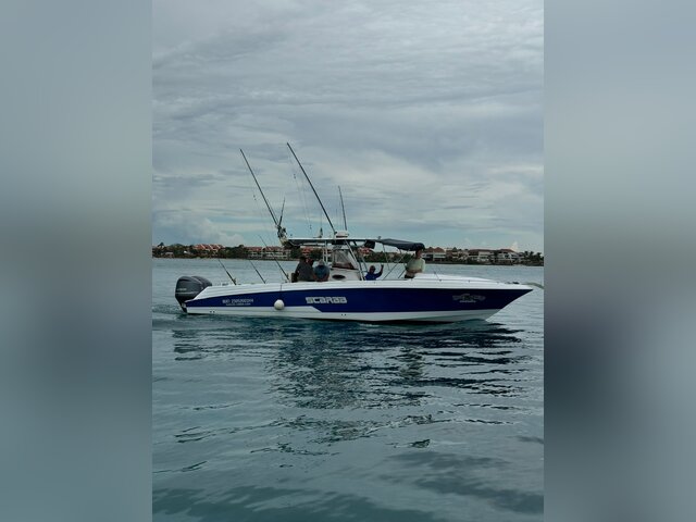 Listing image 1063626