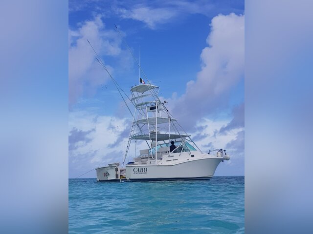 Listing image 1063640