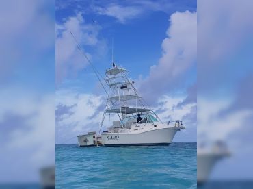 Javichos Tours – 31' Cabo