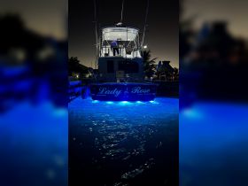 The 'Lady Rose' yacht is docked at night, illuminated by blue underwater lights, showcasing its elegant design and inviting atmosphere for evening cruises.