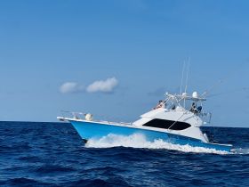 A sleek fishing boat cuts through the waves, showcasing an exciting day on the water with guests enjoying the ride.