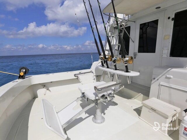 Listing image 1066752