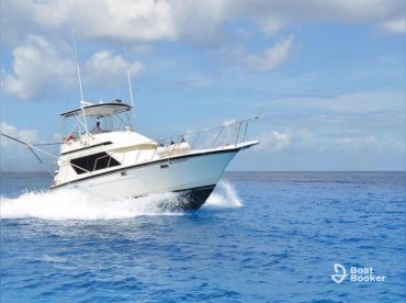 Javichos Tours – 42' Hatteras