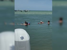 A group of friends enjoys a sunny day floating in the water, showcasing the perfect blend of relaxation and fun during their boating adventure.