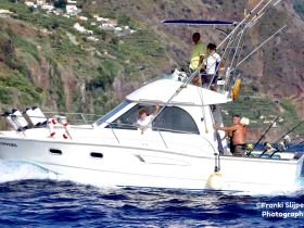 A group of people actively fishing aboard a boat, showcasing a lively day on the ocean. The scenic backdrop adds to the excitement of the fishing experience.