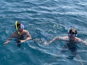 Two snorkelers enjoy exploring the vibrant underwater world, showcasing the excitement of aquatic adventures.