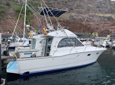 Flipper II