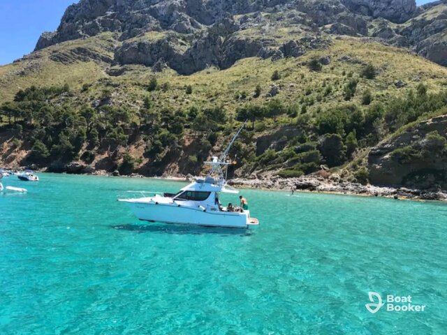 Listing image 1064105