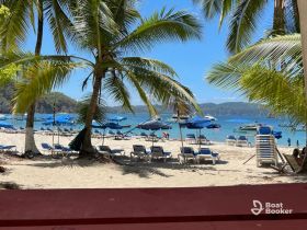 A scenic beach view featuring palm trees and sun loungers, with people enjoying the sunny day by the water.
