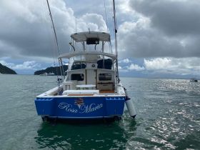 A striking view of the 'Rosa Maria' boat from the back, showcasing its sleek design as it navigates through calm waters under a cloudy sky.