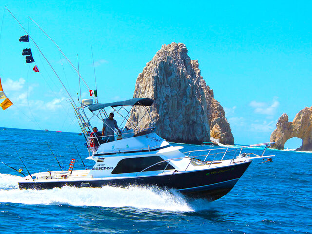 Listing image 1088765