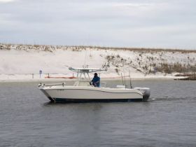 A speedboat navigates through calm waters, showcasing its sleek design against a backdrop of sandy shores — perfect for fishing or leisurely outings.