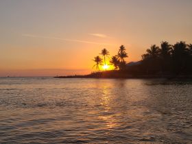 A stunning sunset casts vibrant colors over the coastline, framed by palm trees, creating a picturesque scene perfect for romantic evenings or tranquil getaways.
