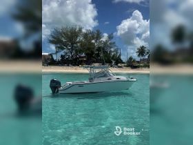 A sleek speedboat anchored in crystal-clear turquoise waters, showcasing the perfect setting for a day of adventure on the water.
