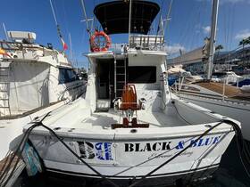 A clear view of the 'BLACK & BLUE' fishing boat docked, showcasing its sleek design and features, perfect for extreme fishing adventures.