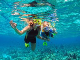 A joyful moment captured underwater as a woman and a child snorkel together, showcasing the vibrant marine life and crystal-clear waters — perfect for family adventures.