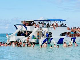 A vibrant crowd enjoys a lively party on a catamaran, with guests swimming and socializing in the clear waters — the perfect setting for a fun sandbar stop.