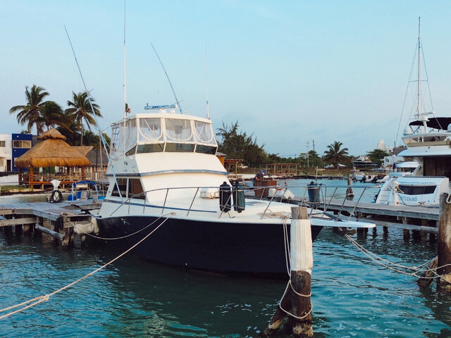 Listing image 1064268
