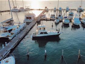 Aerial view of a marina filled with various yachts and boats, showcasing a vibrant dock scene at sunset.