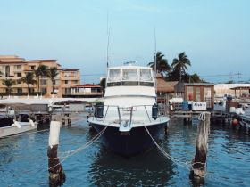 A fishing boat docked at a marina, showcasing its structure against a backdrop of palm trees and nearby buildings — ideal for fishing excursions or leisure trips.