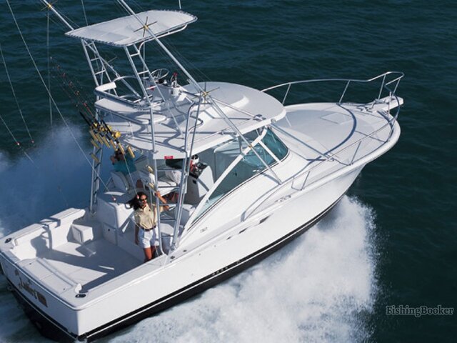 Listing image 1064287