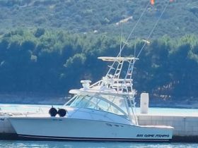A sleek yacht docked at the marina, showcasing its elegant design against a backdrop of lush greenery.