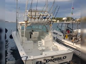 The interior of the fishing boat 'El Diablo' showcases a well-equipped helm and seating area, perfect for a day out on the water.