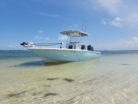 A sleek speedboat anchored in shallow waters, showcasing its elegant design against a clear blue sky — perfect for day trips and water adventures.