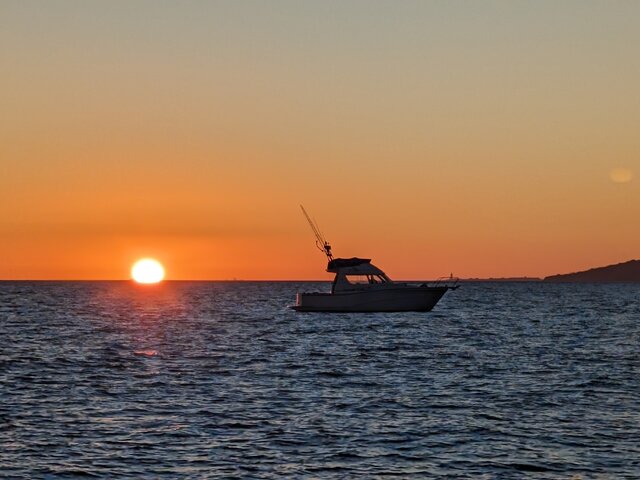 Listing image 1064310