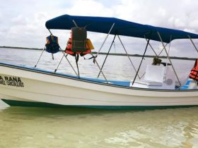 A scenic view of a small boat named 'La Rana' docked in calm waters, showcasing its structure and design — perfect for exploring the beautiful waterways of Cancun.