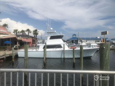 Blue Water Connection LLC – Reelistic